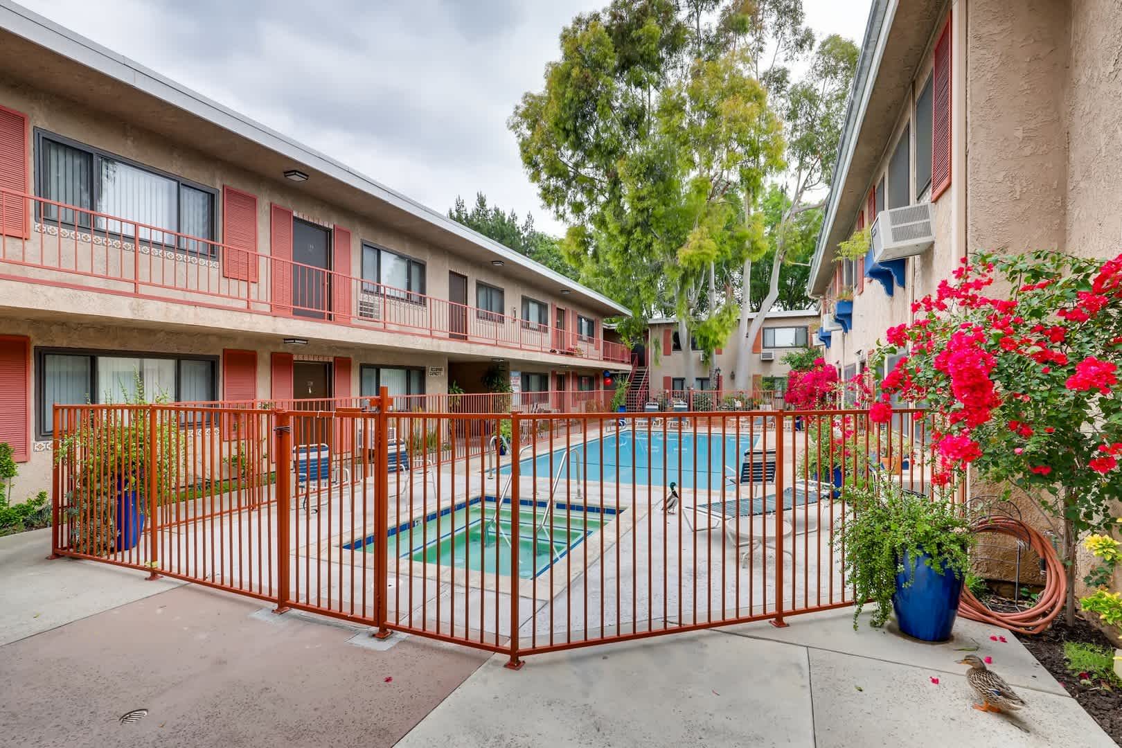 Community pool and spa